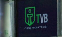 Doanh thu môi giới chứng khoán giảm 80%, Chứng khoán Trí Việt (TVB) vừa phải thay lãnh đạo