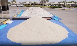 Cảnh sát UAE thu giữ lượng ma túy có giá trị 1 tỷ USD trong đồ nội thất
