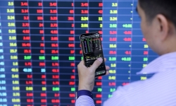 Thị trường chứng khoán sụt giảm, quỹ Fubon ETF vẫn mua vào thêm 140 tỷ cổ phiếu Việt Nam