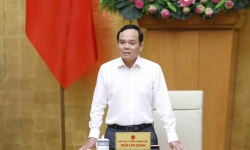 Phó Thủ tướng Trần Lưu Quang làm Trưởng Ban Chỉ đạo quốc gia về ODA và vốn vay ưu đãi