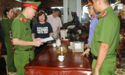 Khởi tố nữ giám đốc về tội buôn lậu gỗ trắc ở Nghệ An