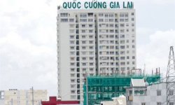 Quốc Cường Gia Lai (QCG) bị truy thu thuế 556 triệu đồng, doanh thu bất động sản quý 3 sụt giảm 455 tỷ