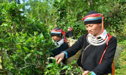 Tuyên Quang: Đẩy mạnh tuyên truyền, vận động xóa bỏ nạn tảo hôn và hôn nhân cận huyết thống