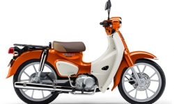 Hình ảnh Honda Super Cub 2024 Flare Orange Metallic