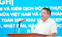 Phó Giám đốc sở Nông Nghiệp Hà Nội nói sản phẩm nông nghiệp ở Thủ đô cơ bản an toàn 100%