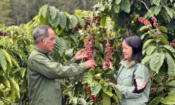 Đồng bào dân tộc thiểu số Gia Lai: Cuộc sống đổi thay từ Chương trình mục tiêu quốc gia