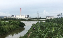 Dự án xây dựng Nhà máy Nhiệt điện BOT Hải Dương: Phá rừng phòng hộ, khai thác đất trái phép!