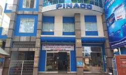 Pinaco (PAC) lợi nhuận sụt giảm 49%, điều chỉnh hoãn thời gian trả cổ tức