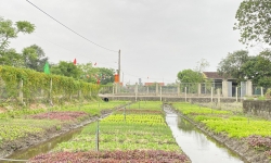 Xây dựng nông thôn mới ở Quảng Bình ngày càng đi vào chiều sâu và bền vững