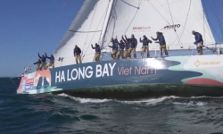 Đoàn đua thuyền buồm lừng danh thế giới Clipper Race sắp ghé thăm vịnh Hạ Long