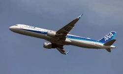 Hành khách Mỹ cắn tiếp viên, buộc máy bay phải quay trở lại Tokyo
