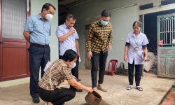 Thái Bình ghi nhận hơn 1.300 ca mắc sốt xuất huyết