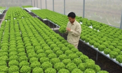 Việt Nam có tên trong top 10 các nước thu hút đầu tư xanh