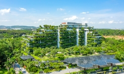 Việt Nam đang thiếu “kiến trúc sư” tạo nền móng cho tăng trưởng xanh