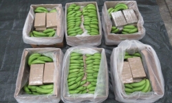 Cảnh sát Anh bắt giữ lượng cocain kỷ lục trị giá hơn nửa tỷ USD