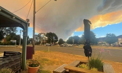 Cháy rừng có nguy cơ bùng phát ở Úc