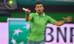 Novak Djokovic thất bại trước tay vợt xếp hạng số 123 thế giới
