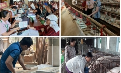 Hà Nam: Hơn 17,4 nghìn hội viên phụ nữ đang sử dụng vốn vay tín dụng chính sách