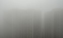 Dự báo thời tiết 15/3/2024: Bắc Bộ và Thanh Hóa đêm, sáng mưa phùn và sương mù