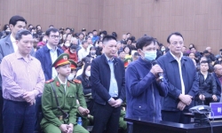 Vụ án Tân Hoàng Minh: Nhiều bị hại đề nghị xem xét giảm nhẹ hình phạt cho các bị cáo