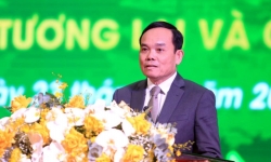 Phó Thủ tướng Trần Lưu Quang: Người đứng đầu phải làm gương, tử tế với pháp luật để tránh mất cán bộ