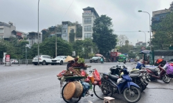 Nhót đỏ chín mọng “phủ sóng” đầy đường phố Hà Nội, giá tăng dựng đứng