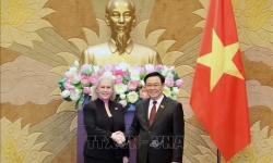 Việt Nam - Hoa Kỳ thúc đẩy quan hệ Đối tác chiến lược toàn diện theo hướng ngày càng thực chất, đi vào chiều sâu, ổn định