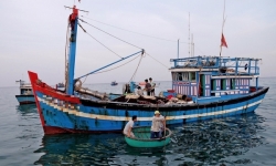 Cán bộ phòng Tư pháp 'nhận tiền' để chứng thực hợp đồng mua bán tàu cá khống