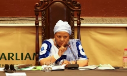 Chủ tịch Quốc hội Nam Phi từ chức vì điều tra tham nhũng