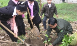 Lào Cai đứng đầu cả nước thực hiện Đề án “Trồng một tỷ cây xanh giai đoạn 2021 - 2025”