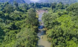 Nam Định đề ra 6 nhóm nhiệm vụ, giải pháp trọng tâm tăng cường công tác quản lý và bảo vệ rừng