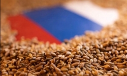 Nga mở rộng hạn chế xuất khẩu ngũ cốc