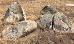 Phát hiện thêm 15 khối đá chạm khắc cổ tại Mù Cang Chải