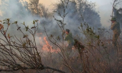 Lào Cai: Đốt cỏ rác bất cẩn làm cháy rừng bị xử phạt 17,5 triệu đồng