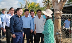 Phó Thủ tướng Trần Hồng Hà kiểm tra việc bảo đảm nguồn nước sinh hoạt, sản xuất, phòng chống xâm nhập mặn