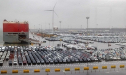 Lý do các cảng châu Âu biến thành “bãi đỗ ôtô”