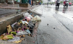TP HCM phấn đấu 100% khu phố sạch, không xả rác ra đường và kênh rạch