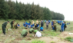 Thanh niên tỉnh Ninh Bình hưởng ứng Đề án trồng 1 tỷ cây xanh