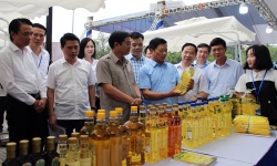Bắc Ninh phát động hưởng ứng Tuần lễ Thương hiệu Quốc gia và Ngày Thương hiệu Việt Nam