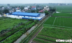 Thái Thụy (Thái Bình): Phát hiện doanh nghiệp xây dựng nhà xưởng hàng nghìn m2 trên đất nông nghiệp