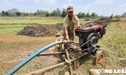 Gia Lai: Hàng ngàn héc ta cây trồng khô hạn chờ 'nước trời'