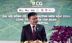 Bamboo Capital (BCG) mục tiêu lợi nhuận tăng 6 lần, đưa Bảo hiểm AAA lên UPCoM