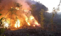 Chủ tịch UBND cấp tỉnh phải chịu trách nhiệm trước Thủ tướng nếu để xảy ra cháy rừng diện rộng