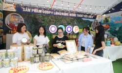 Ninh Bình: Trưng bày các sản phẩm OCOP và làng nghề nông thôn tiêu biểu