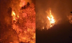 Ninh Bình có 24.711 ha diện tích rừng dễ cháy