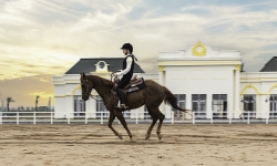 Khám phá đặc quyền học cưỡi ngựa của cư dân thành phố Đảo Hoàng Gia