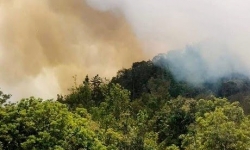 Nam Định: Tăng cường triển khai các biện pháp cấp bách phòng cháy, chữa cháy rừng