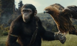 'Hành tinh khỉ: Vương quốc mới' thu về 22 triệu USD trong ngày khởi chiếu