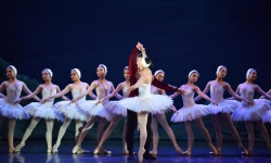 Kiệt tác ballet 'Hồ thiên nga' trở lại với diện mạo mới