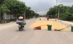 Thanh Hoá: Nhức nhối cảnh phơi lúa, dùng vật cản chắn ngang đường giao thông